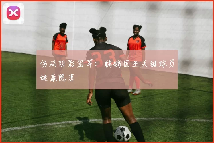 伤病阴影笼罩：鹈鹕国王关键球员健康隐患