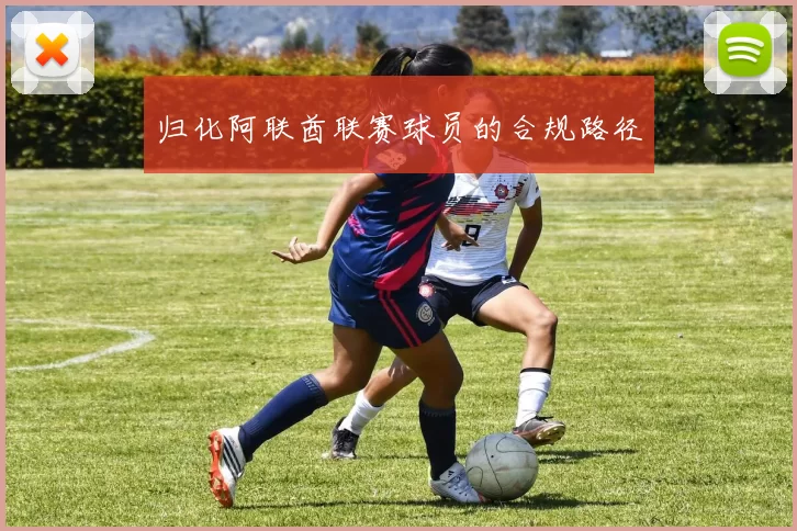 归化阿联酋联赛球员的合规路径