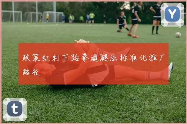 政策红利下跆拳道腿法标准化推广路径