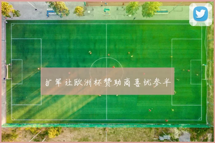 扩军让欧洲杯赞助商喜忧参半
