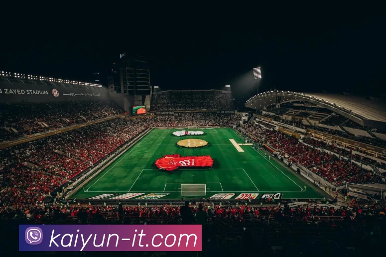 开云kaiyunAPP 体育赛事宣传图